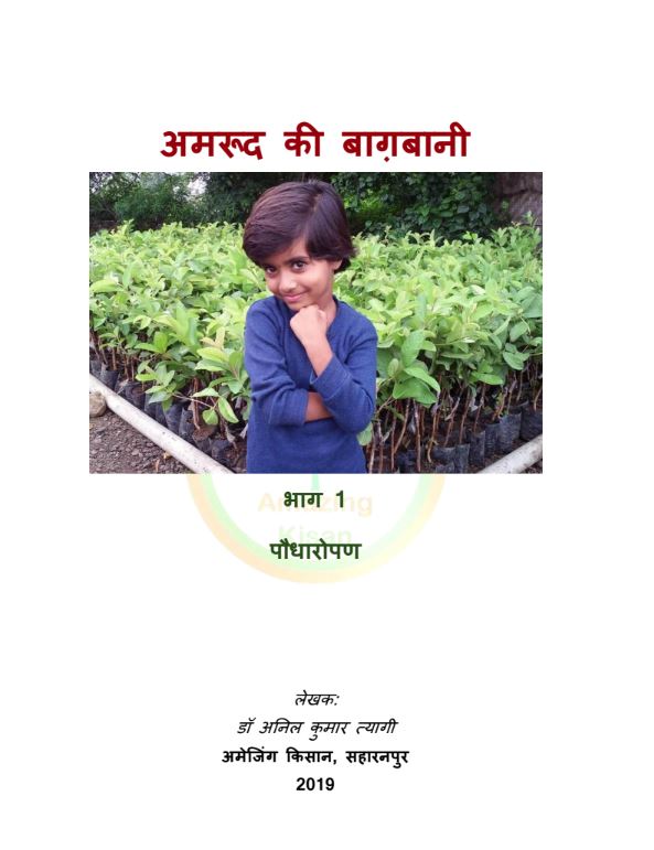 पौधरोपण और पहले दो माह की देखभाल (PDF) 2019, Jun